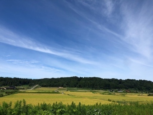 米　玄米　令和4年【ありがとうございました】