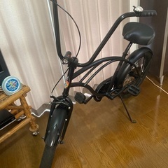 レインボービーチクルーザー20インチ