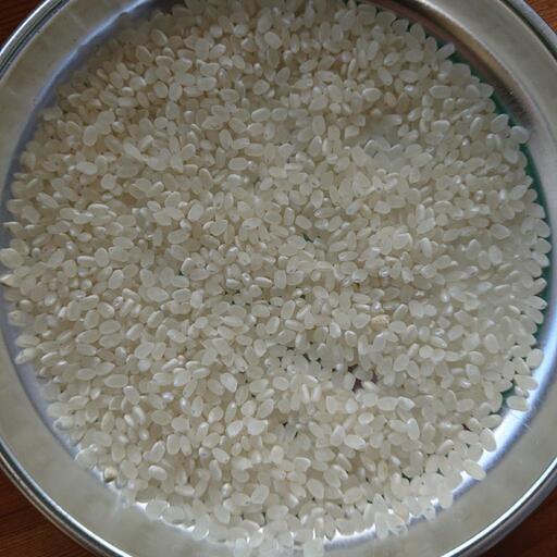 令和2年 新米 庄原市高野町米 コシヒカリ 30kg