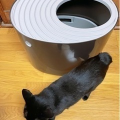 システム猫用トイレ
