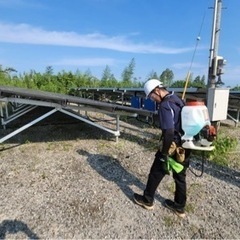 除草作業　軽作業