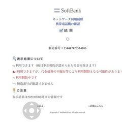 【SIMフリー】iPhone12 128GB Blue 青 動作確認のみ