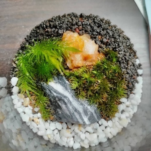 葛飾区立石 苔テラリウムとサンキャッチャーのワークショップです まつのまっつ 京成立石のワークショップ のイベント参加者募集 無料掲載の掲示板 ジモティー 葛飾区立石 苔テラリウムとサンキャッチャーのワークショップです まつのまっつ 京成立石のワークショップ のイベント参加者募集 無料掲載の掲示板 ジモティー