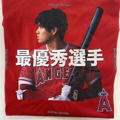 大谷翔平　MVP 2点セット