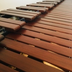 マリンバ　コオロギ　１５００F