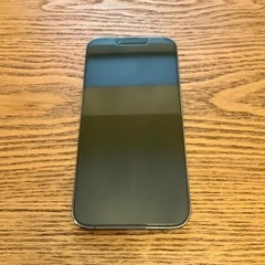 【おまけ付】iPhone 13 Pro / 256GB / シエラブルー