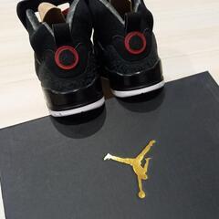 値下げ!!NIKE 26㎝ JORDAN SPIZIKE315371-026