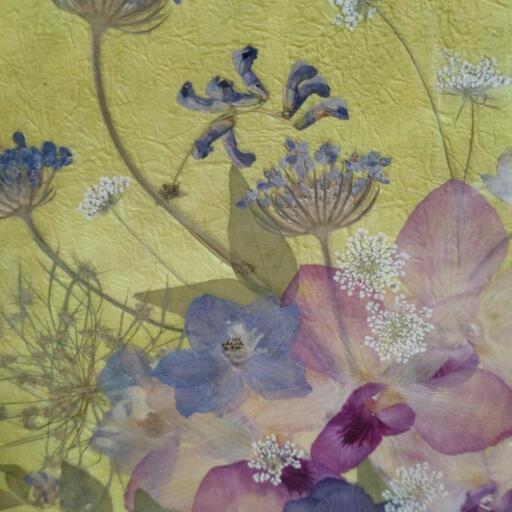 押し花絵画 黄色背景のオシャレな押し花アート作品 せなぎ 石山通の家具の中古あげます 譲ります ジモティーで不用品の処分