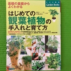 本　　観葉植物の育て方