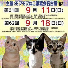 9/11(日)　猫の譲渡会　in　名古屋市昭和生涯学習センター