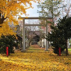 【秋になって自転車がよい季節】当別町内の神社を回ってもらう、御朱...