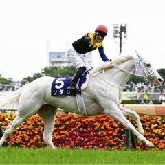 競馬友だち募集😊