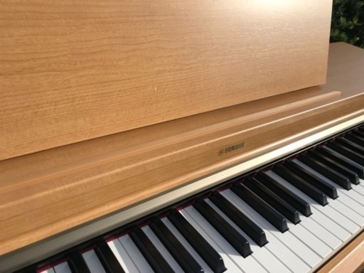 ヤマハ YDP-162C(エリア内設置無料)