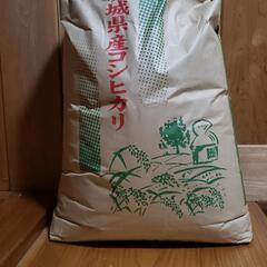 茨城県 常総市のお米の中古が安い！激安で譲ります・無料であげます ...