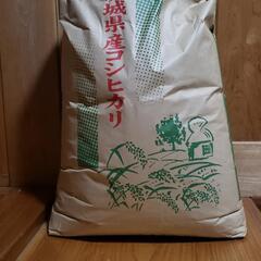 令和3年産　茨城産コシヒカリ　玄米30kg