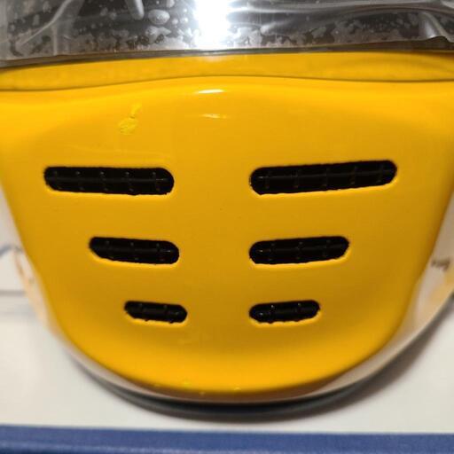 ラパイドネオLサイズ アライ 南海部品限定カラー スターイエロー