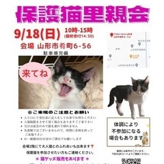 にゃんこねくと 9/18 保護猫里親会の画像