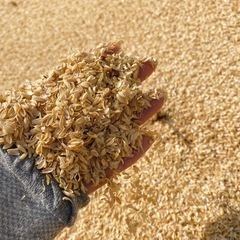 ④籾殻（もみがら）天然の土壌改良材です。有機肥料にも！「お米購入...