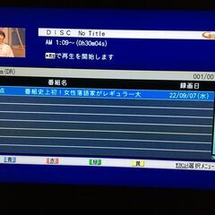 【値下げ】完動品 ブルーレイドライブ BDR-L06MT 内蔵 三菱REAL LCD-32BHR300 32インチ