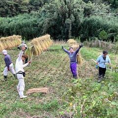 田んぼ・畑・貸農園　～神余自然農苑～　　無農薬・無化学肥料・除草剤不可