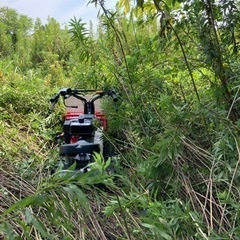 豊橋市周辺の草刈りは是非ご相談下さい。見積無料です。 - 手伝いたい/助けたい