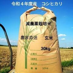 【新米】🌾令和4年度産　コシヒカリ　減農薬栽培米　30kg
