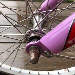 ルイガノ  子供　J20 plus 