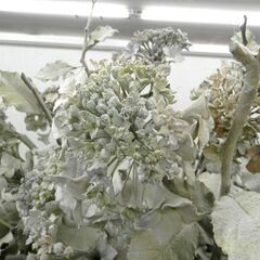 造花 フラワースタンド 柱 コラム 171cm ITALIA イタリア ディスプレイ オブジェ 花台 札幌市西区 西野店　