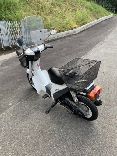 ★スズキ、モレット50.風防付き★