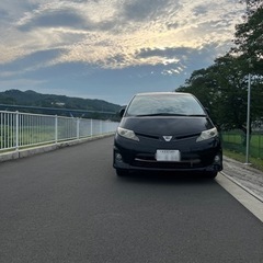 エスティマ50中期