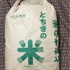 栃木県那須塩原市　2022年10月産　コシヒカリの玄米　30kg