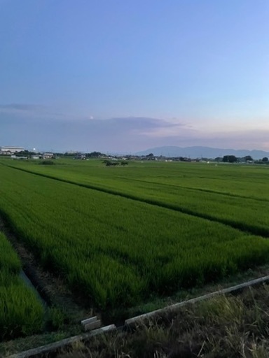 農家直売 安心安全な奈良県産ひのひかり米 令和4年度