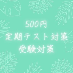 【 500円 】定期テスト対策&高校受験対策