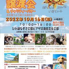 10月16日 保護犬・保護猫　譲渡会　〜ぼくらはみんないきている...