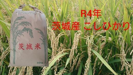 R4年 ☆高品質☆堆肥使用 コシヒカリ 先端農家のお米