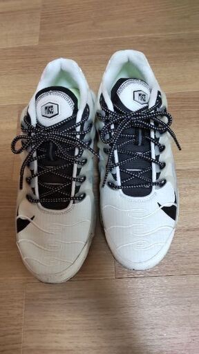 NIKEナイキAIR MAX TERRASCAPE PLUS　28.5cm