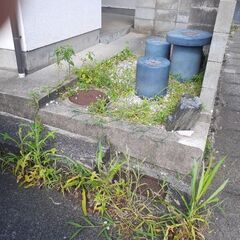 草抜きなら　便利屋ゲンキ鳥取 - 鳥取市