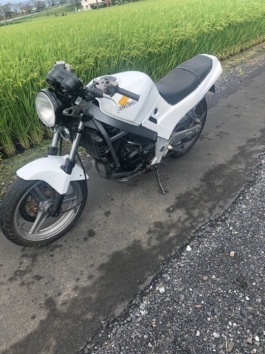 vtz250 250cc ホンダ
