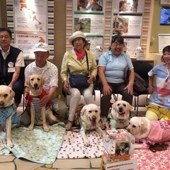 引退犬の応援イベント『ハウオリ･マカナ』