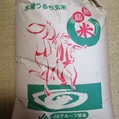 古米　令和三年産キヌヒカリ　玄米30kg　
