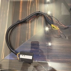 MPIS マルチポイントイグニッションシステム