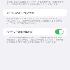 iPhone13 Pro Max 1TB グラファイト SIMフリー AppleCare＋ バッテリ100%