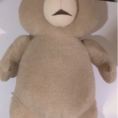 Ted シェリーメイ