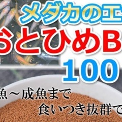 🐸⑤メダカ プロの餌 100g ¥500円 日時自由指定可能❣️...