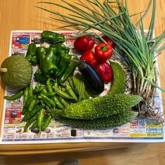 交渉中*お野菜いろいろ