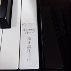 YAMAHAクラビノーバ CLP 300PE 電子ピアノ 