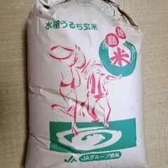 古米　令和三年産　コシヒカリ&あきさかりブレンド米　玄米30kg