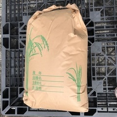 令和3年産　コシヒカリ30キロ　稲木米（玄米）