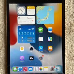 iPad mini 4 画面黒･本体gold　A1538 WI-...