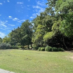 服部緑地公園撮影付き親子ヨガ - スポーツ